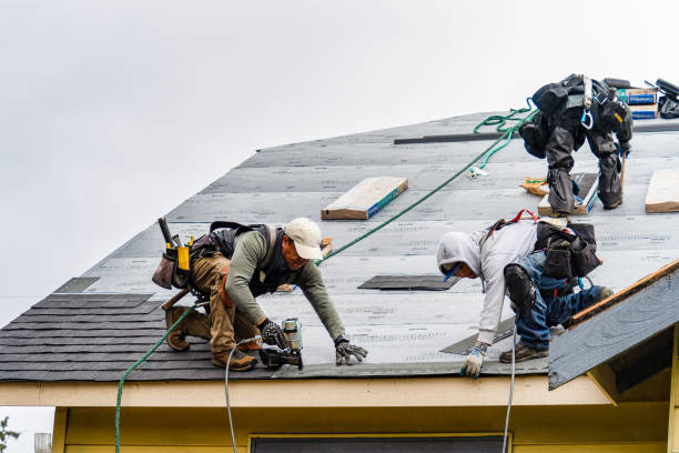 Professional Storm Damage Roof Repair technician working in Loa, UT